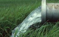 EAU: La FAO pour une bonne utilisation des eaux usées