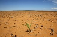 EAU: l'Afrique de l'Est assoiffée par le manque de pluie