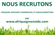 Stage: Assistant Commercial et Green Marketing