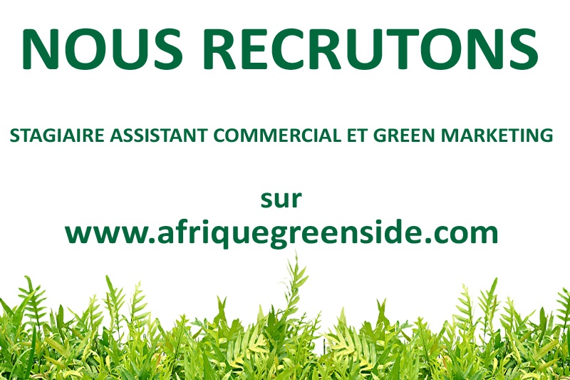 Stage: Assistant Commercial et Green Marketing
