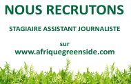 Stage: Assistant journaliste
