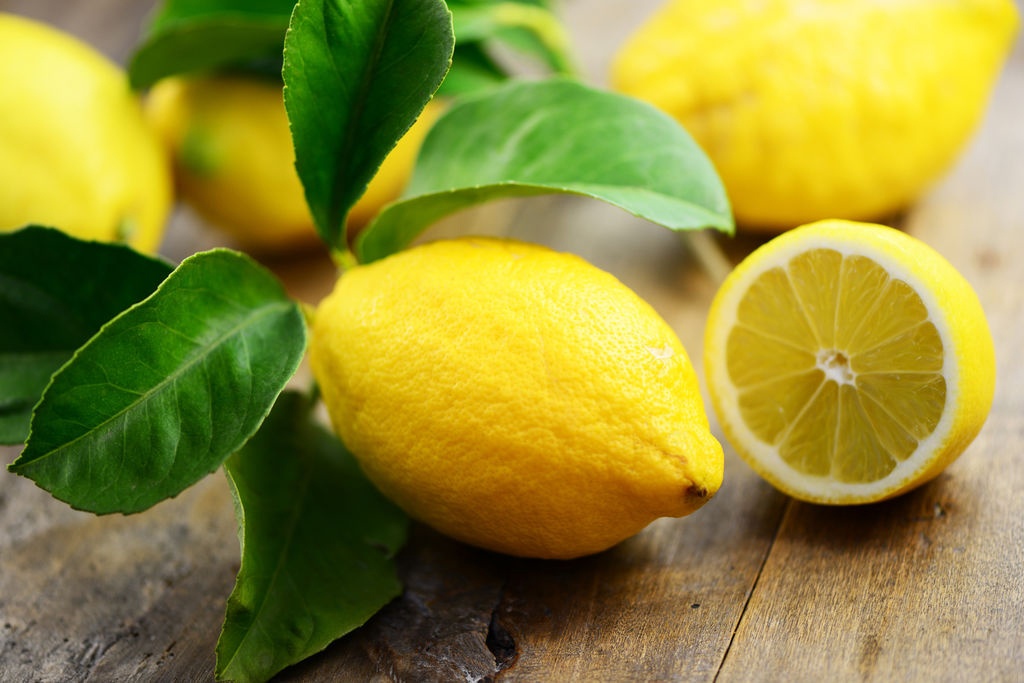 BIODIVERSITÉ: Le citron, un fruit aux multiples vertus