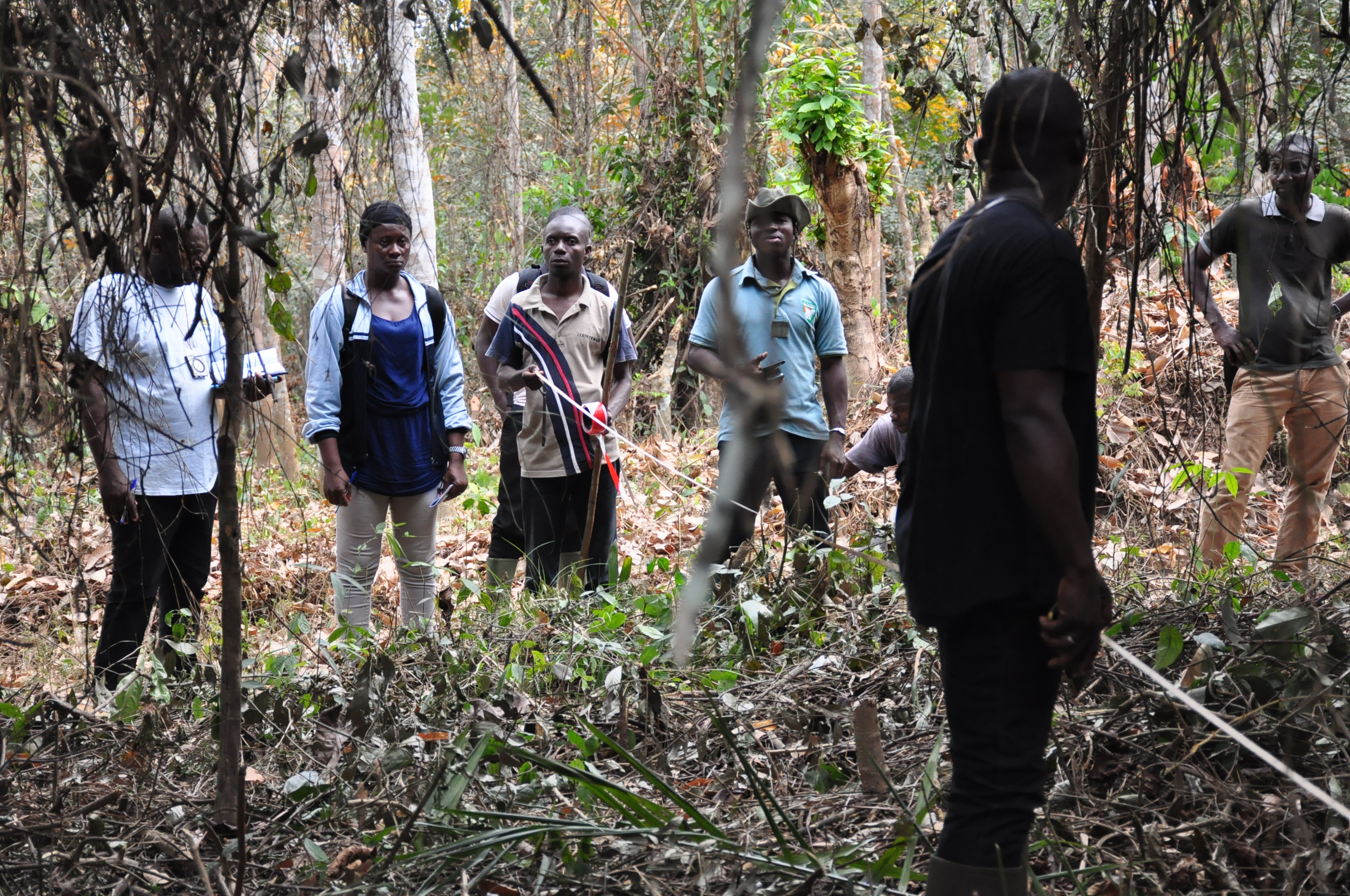 Suivi communautaire des forêts: la FAO et le SEP REDD+ renforcent les capacités des ONG de la région de la Mé