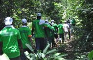 FORET: Une randonnée verte organisée par les 