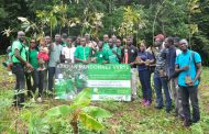 FORET: Une randonnée pour planter des arbres en Côte d'Ivoire