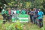 FORET : UTZ et RAINFOREST ALLIANCE soutiennent le plaidoyer pour l’application du code forestier en Côte d’Ivoire