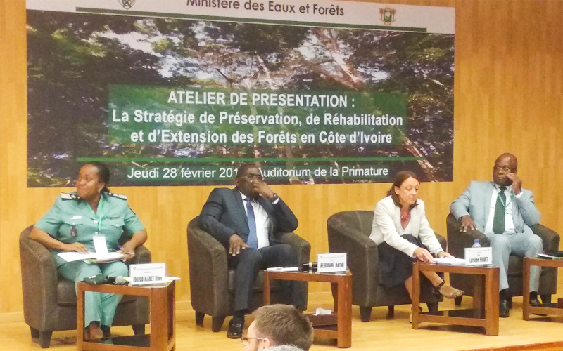 FORET : 616 milliards de F CFA pour reconstituer le couvert forestier ivoirien