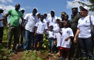 Opération un jour un million d’arbres : 3000 arbres plantés à Bingerville