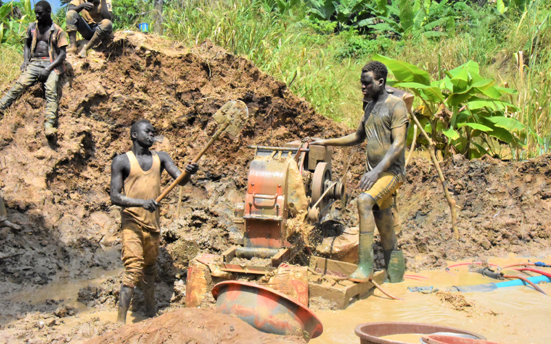 ENVIRONNEMENT : Un réseau d’orpailleurs clandestins démantelé dans la forêt classée de Badénou