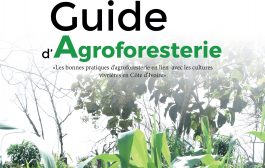 LUTTE CONTRE LA DÉFORESTATION: Un guide pratique d'agro-foresterie en lien avec les cultures vivrières.