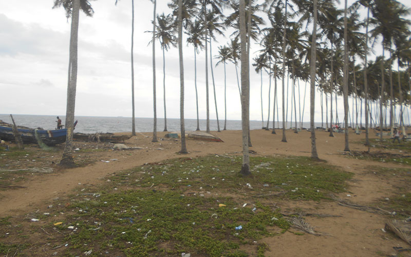 ENVIRONNEMENT : La  Côte d’Ivoire vers une gestion durable de ses espaces marins et côtiers