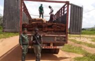 LUTTE CONTRE LA DEFORESTATION : La SODEFOR interpelle un réseau de fossoyeurs de la forêt Ivoirienne