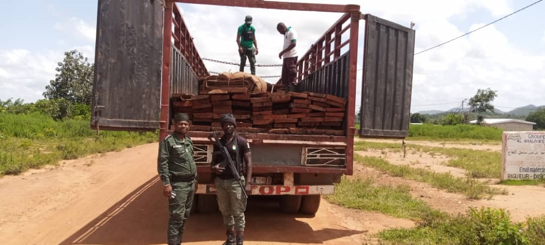 LUTTE CONTRE LA DEFORESTATION : La SODEFOR interpelle un réseau de fossoyeurs de la forêt Ivoirienne