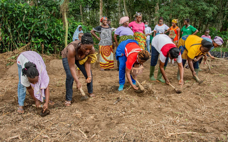 LUTTE CONTRE LA DEFORESTATION : Un chercheur ivoirien préconise l’agriculture durable en Côte d’Ivoire