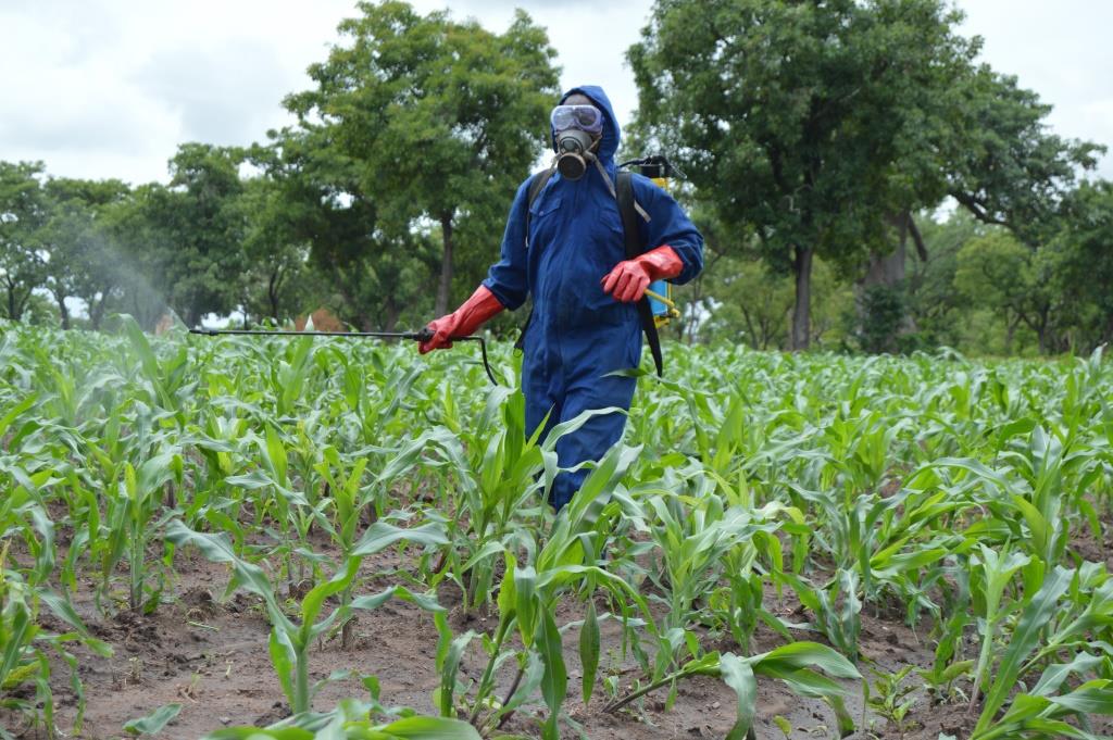 ENVIRONNEMENT : Les pesticides, un réel danger pour la planète
