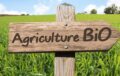 ENVIRONNEMENT: Les bienfaits de l’agriculture biologique sur la nature