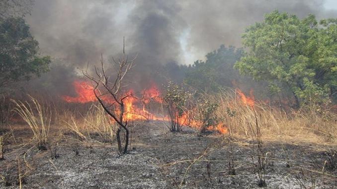 Lutte contre les feux de brousse : Deux tiers des villages de Taabo impactés en deux semaines