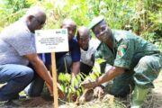 CÔTE D’IVOIRE : 19,5 hectares de forêt restaurés à Jacqueville