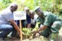 AGRICULTURE : La Côte d’Ivoire et le Ghana se mettent ensemble pour la durabilité du secteur cacao