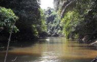 BIODIVERSITE : Autorités ivoiriennes et libériennes s’engagent pour la conservation du complexe forestier Taï-Grebo-Sapo