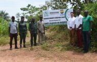 DEVELOPPEMENT DURABLE : CACOMIAF et BRIDGESTONE partenaires engagés, 1600 arbres plantés dans la forêt de Bouaflé